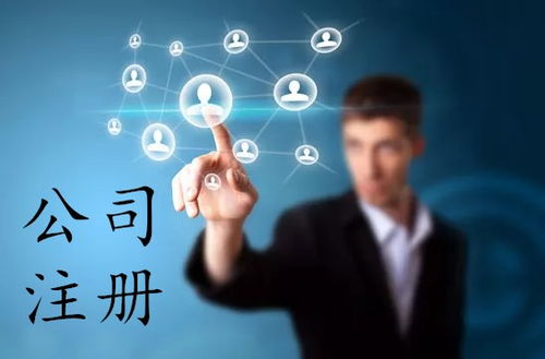 上海軟件公司注冊全攻略 流程、費用與網絡技術服務指南